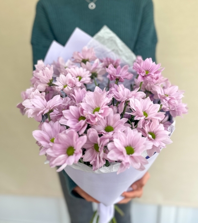 7 хризантем розовых ромашек
